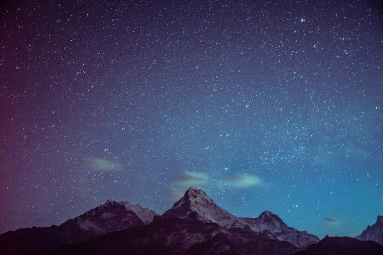 Django developers survey - Important insights for the current state of the framework