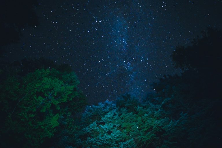 Meta Chameleon — Advancing mixed-modal AI with early-fusion token-based models